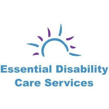 What are the Disability Services Providers doing?